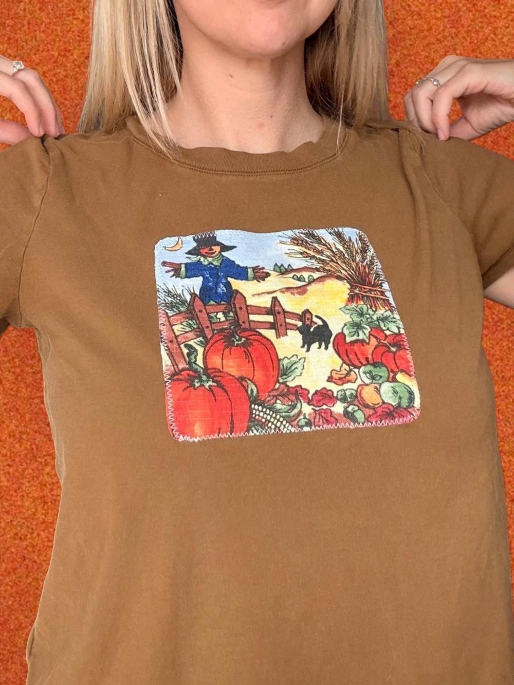 Autumn Pumpkin Graphic Madewell Tee in Brown